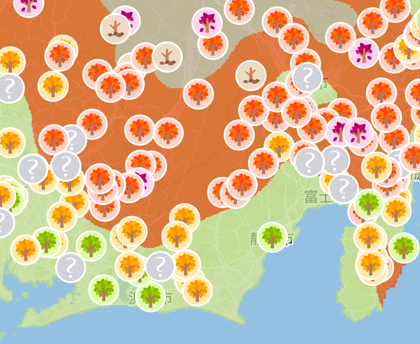 紅葉レーダー🍁｜藤枝市カーリース専門店ならフラット７藤枝