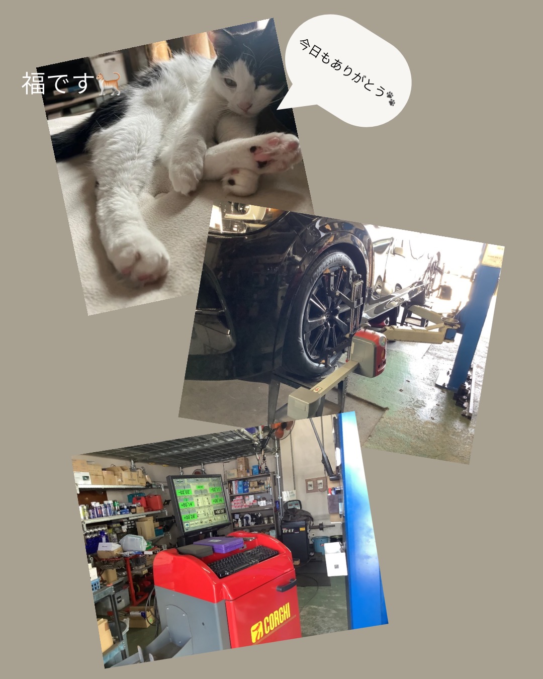 🚘カーメンテナンスはAuto  Radunoにお任せください🛞🔧｜藤枝市カーリース専門店ならフラット７藤枝